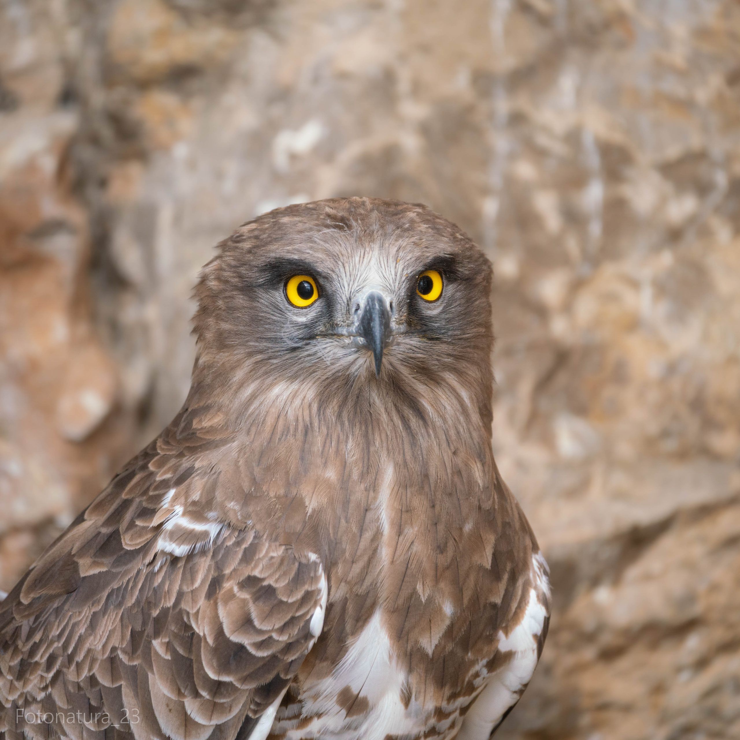 DSC8882-scaled.jpg